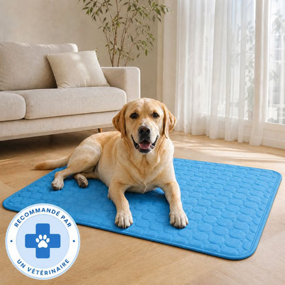Tapis rafraîchissant Novashop
