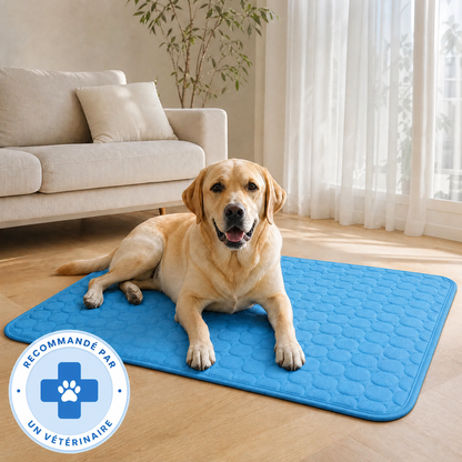 Tapis rafraîchissant Novashop