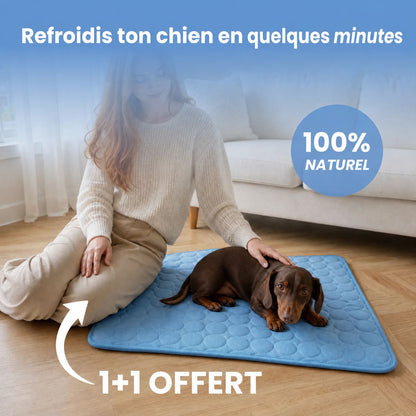 Tapis rafraîchissant Novashop
