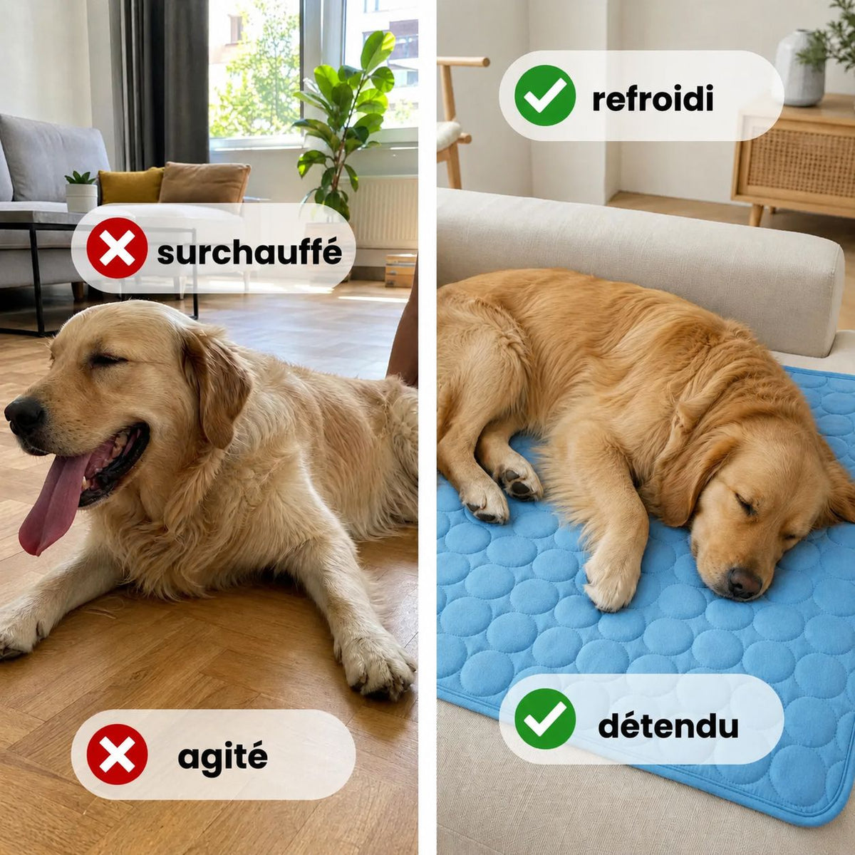 Tapis rafraîchissant Novashop