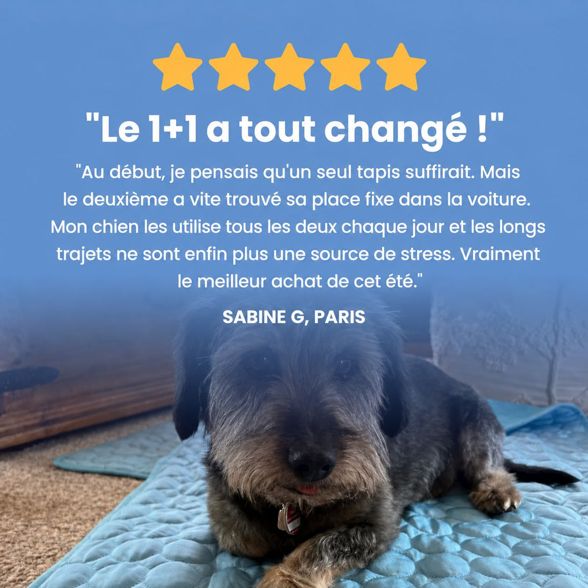 Tapis rafraîchissant Novashop