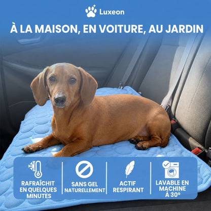Tapis rafraîchissant Novashop