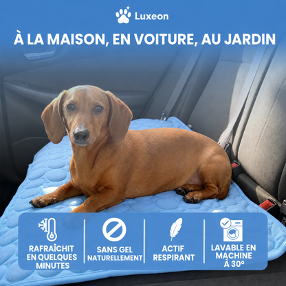 Tapis rafraîchissant Novashop