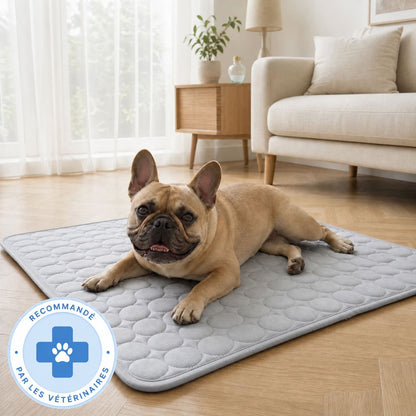 Tapis rafraîchissant Novashop
