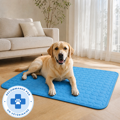 Tapis rafraîchissant Novashop