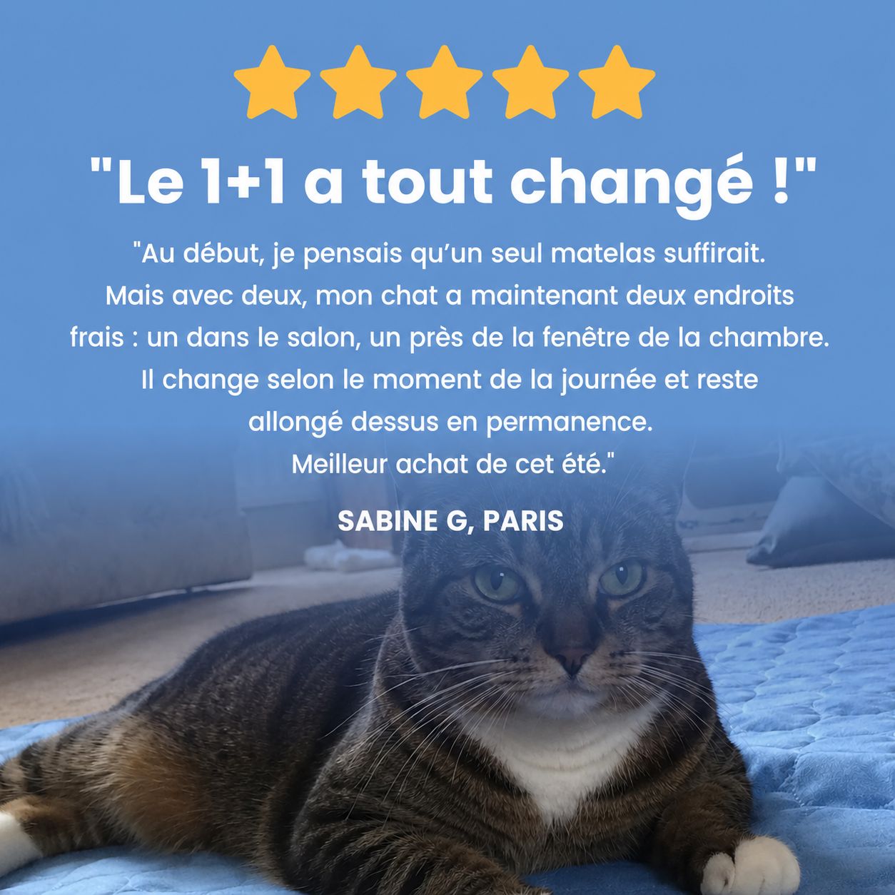 Tapis rafraîchissant Novashop