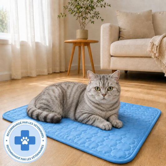 Tapis rafraîchissant Novashop