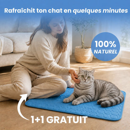 Tapis rafraîchissant Novashop