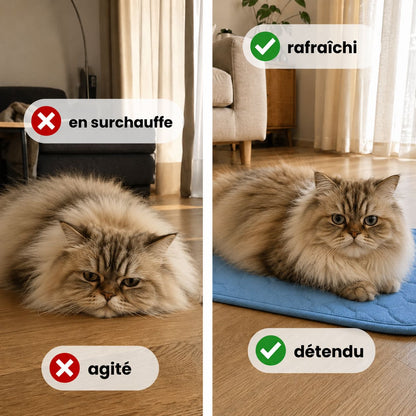 Tapis rafraîchissant Novashop