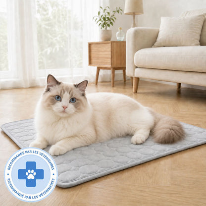 Tapis rafraîchissant Novashop