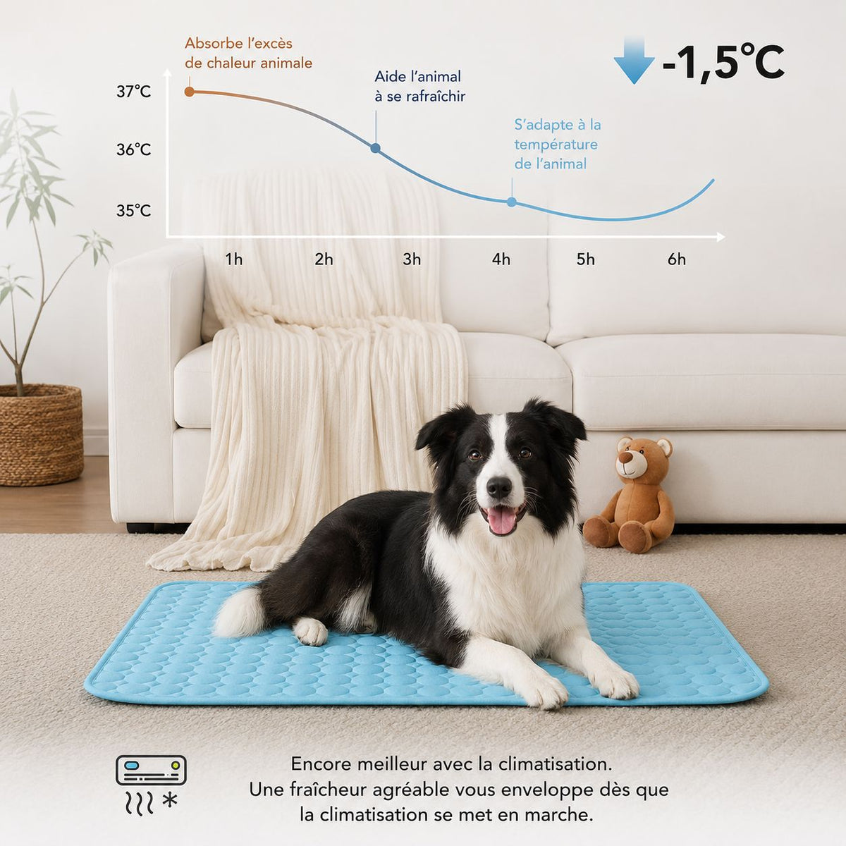 Tapis rafraîchissant Novashop