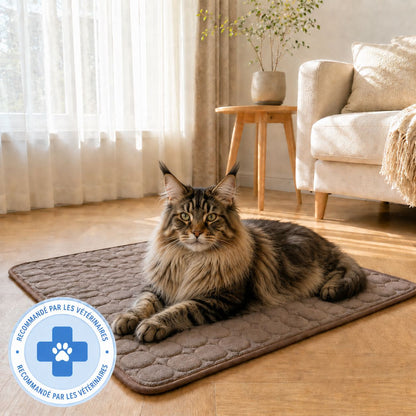 Tapis rafraîchissant Novashop