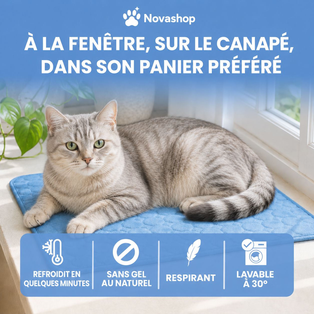 Tapis rafraîchissant Novashop
