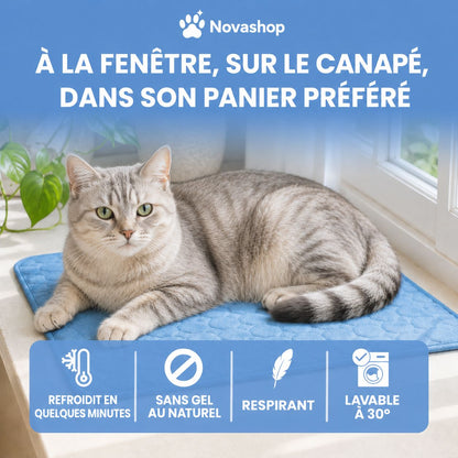 Tapis rafraîchissant Novashop