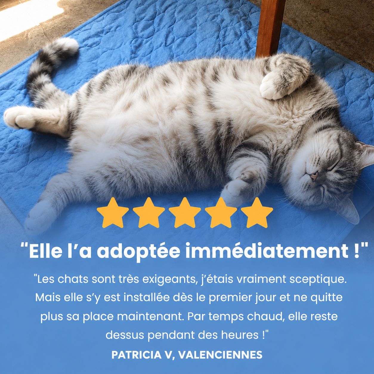 Tapis rafraîchissant Novashop