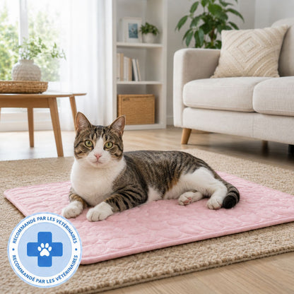 Tapis rafraîchissant Novashop