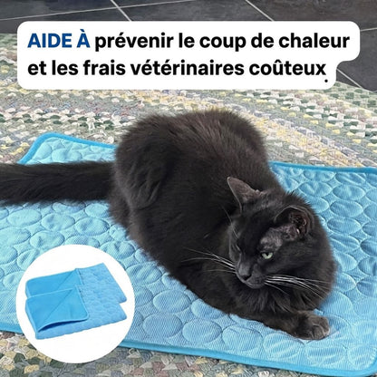 Tapis rafraîchissant Novashop