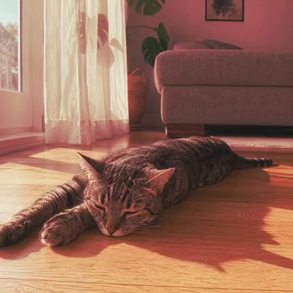 Tapis rafraîchissant Novashop